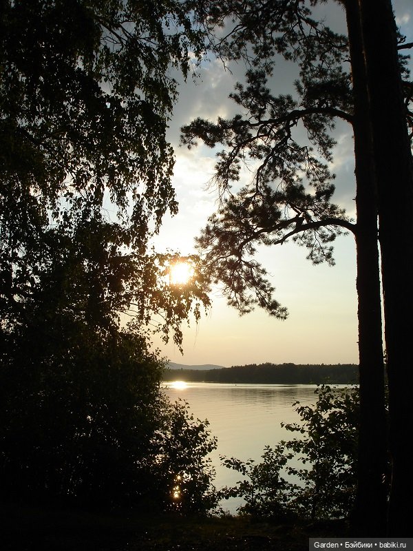 Как упоительны летние вечера