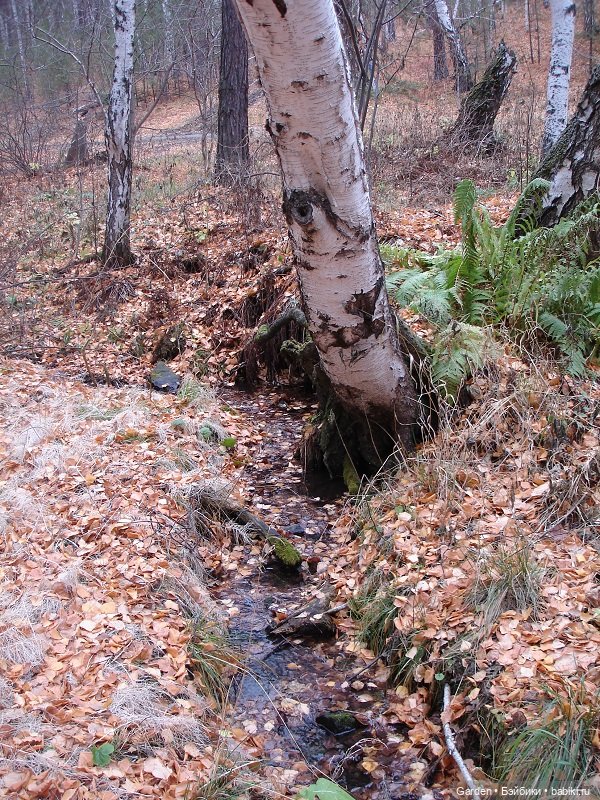 Альпинистка моя, скалолазка моя. Путешествие как образ жизни
