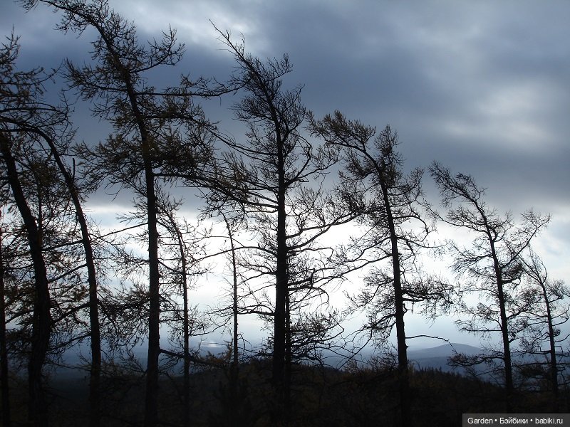 Альпинистка моя, скалолазка моя. Путешествие как образ жизни