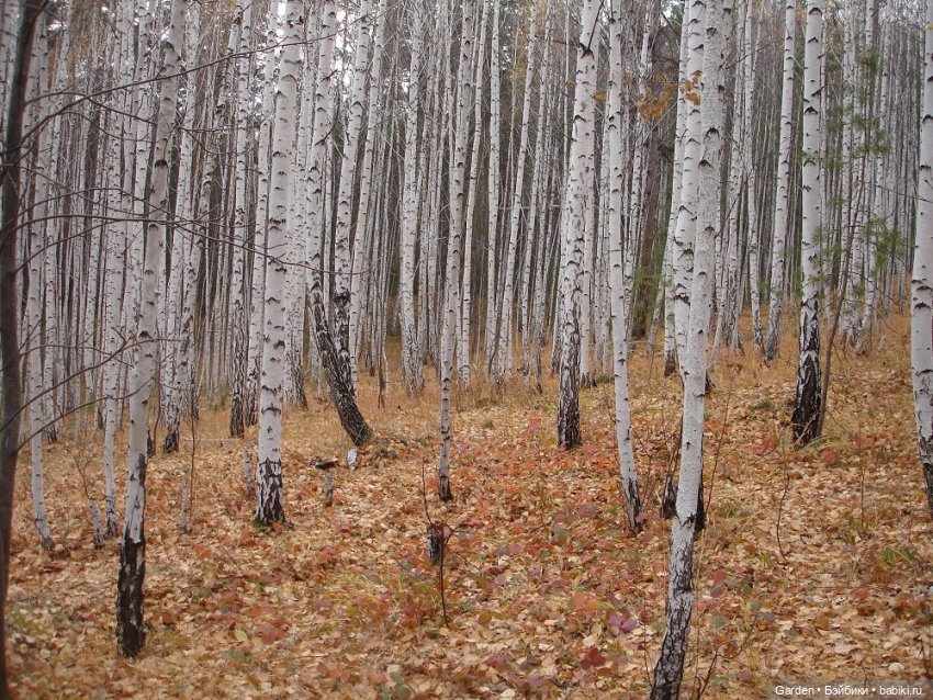 Альпинистка моя, скалолазка моя. Путешествие как образ жизни