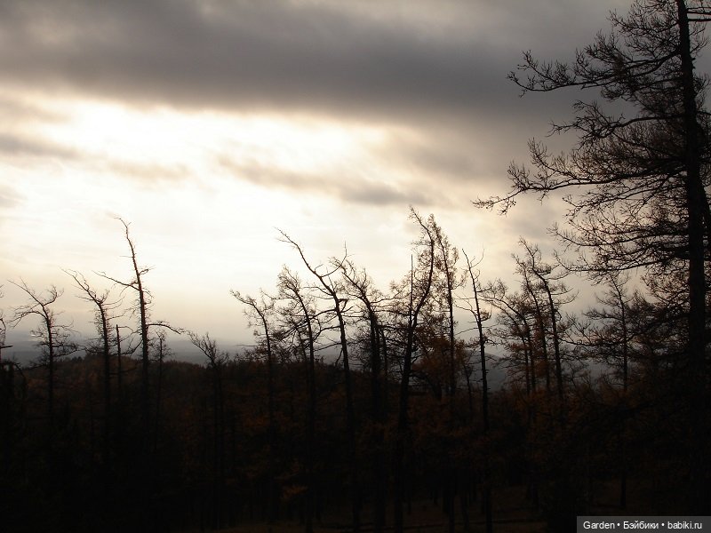 Альпинистка моя, скалолазка моя. Путешествие как образ жизни