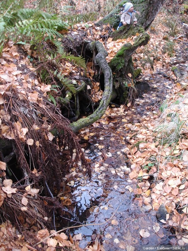 Альпинистка моя, скалолазка моя. Путешествие как образ жизни