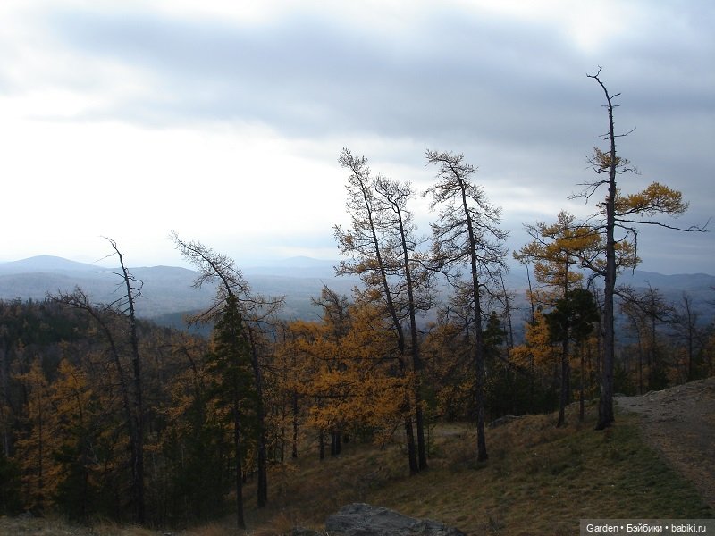 Альпинистка моя, скалолазка моя. Путешествие как образ жизни