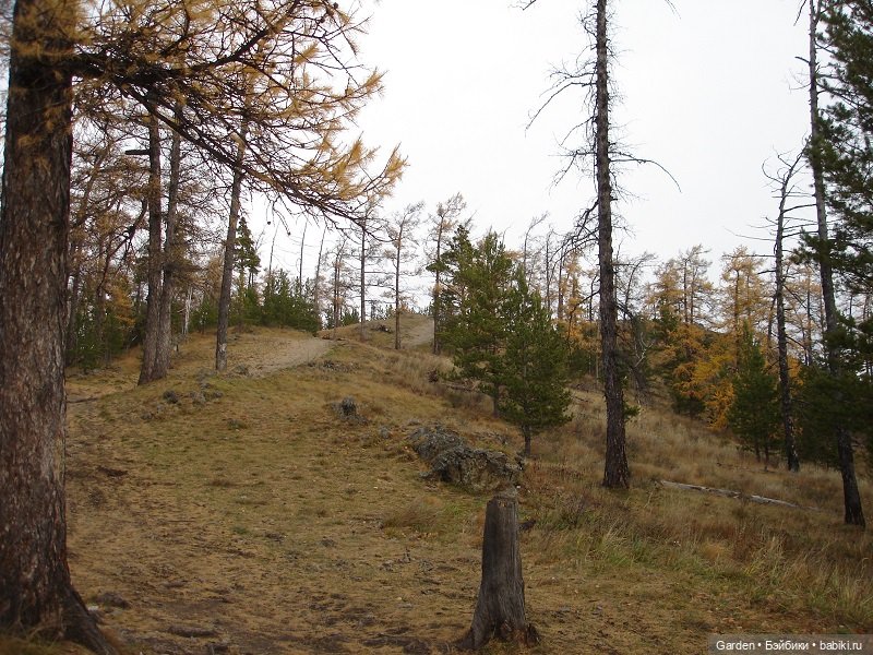 Альпинистка моя, скалолазка моя. Путешествие как образ жизни (фото 7)