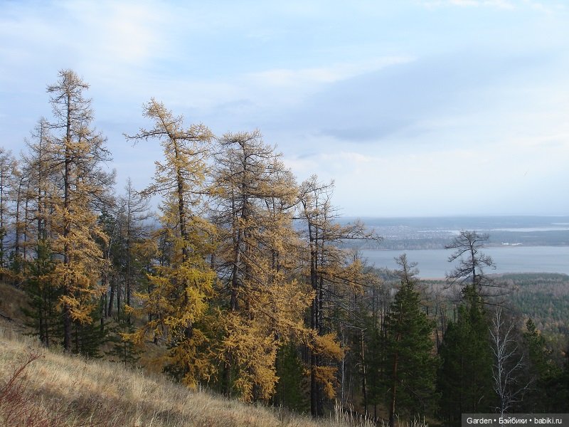 Альпинистка моя, скалолазка моя. Путешествие как образ жизни