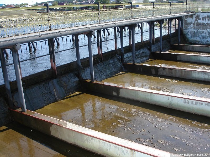 Путешествие Ирмы Цвергназе в Башкирию