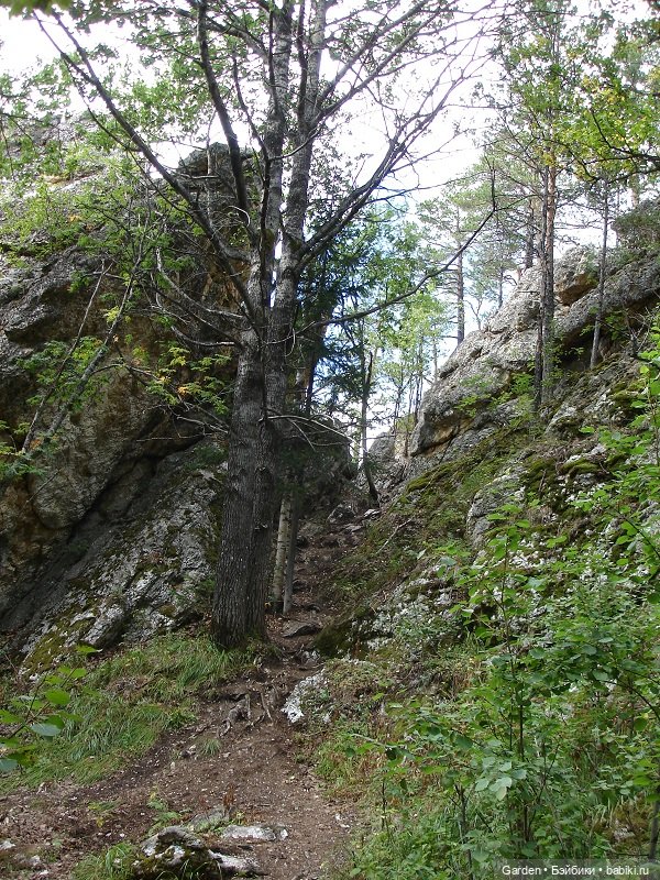 Путешествие Ирмы Цвергназе в Башкирию