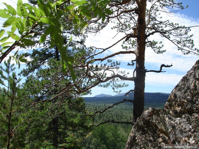 Путешествие Ирмы Цвергназе в Башкирию