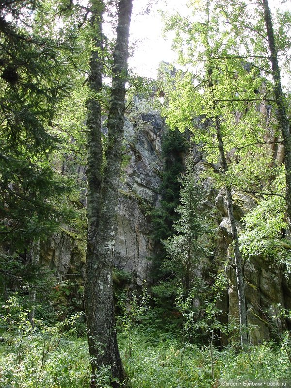 Путешествие Ирмы Цвергназе в Башкирию (фото 10)