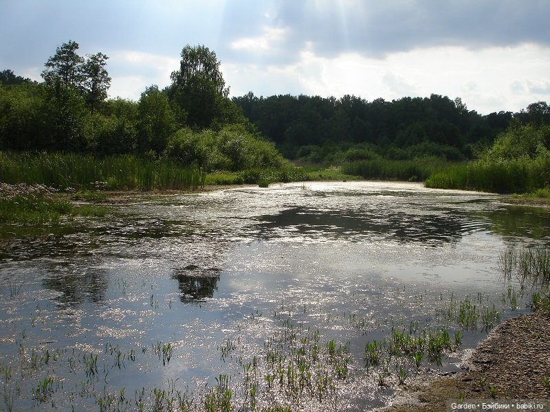 Времена года. Июнь. Июль. Воспоминания Вихтелей (фото 7)