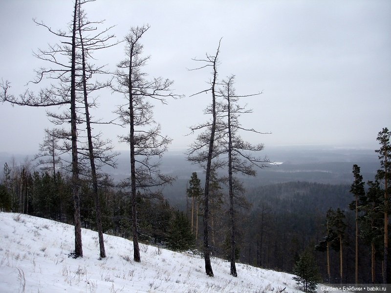 Уральские горы зимой — Туризм и путешествия: фотоотчеты из поездок