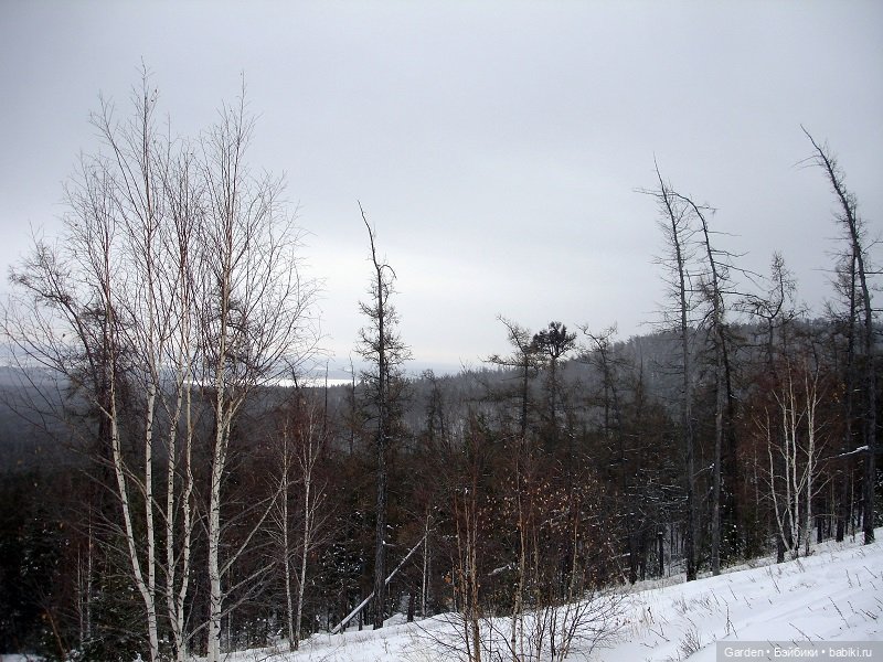Уральские горы зимой — Туризм и путешествия: фотоотчеты из поездок (фото 3)
