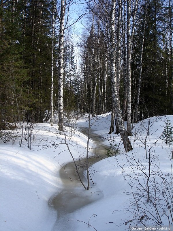 Национальный парк «Зюраткуль»