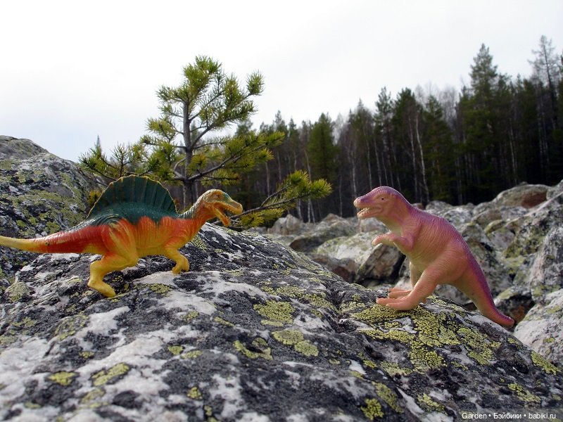 Не ходите, дети, в Африку гулять (фото 6)