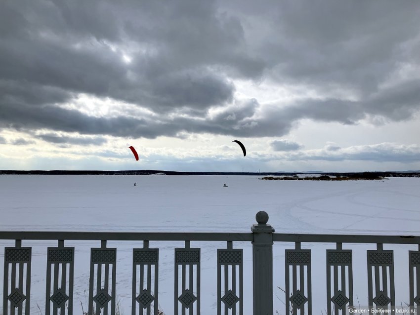 Не ходите, дети, в Африку гулять