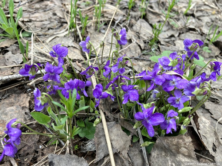 Комплекты с названиями — Одежда и обувь для кукол своими руками: фото