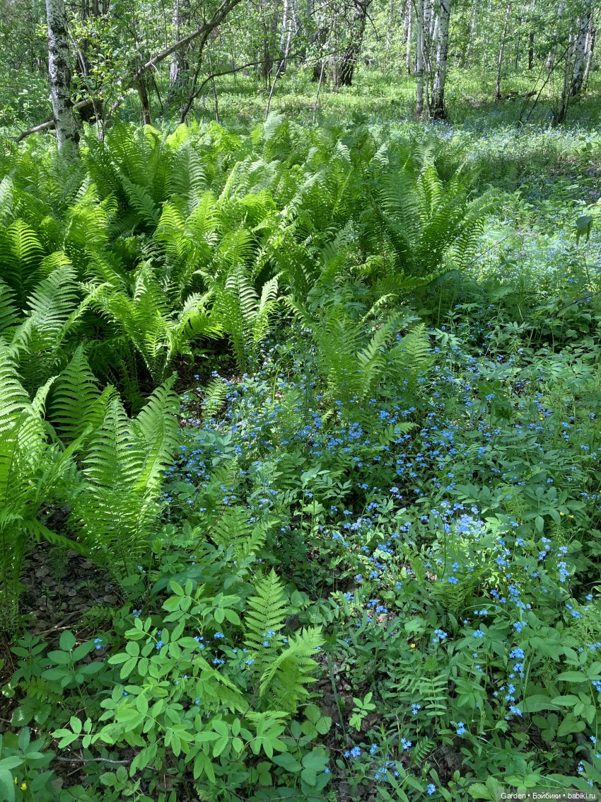 Комплекты с названиями — Одежда и обувь для кукол своими руками: фото