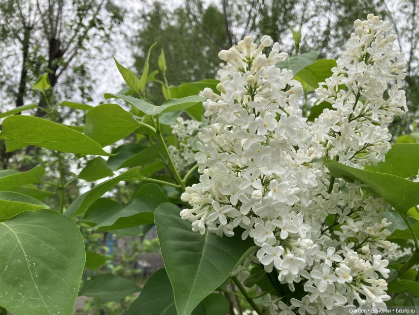 Комплекты с названиями — Одежда и обувь для кукол своими руками: фото (фото 6)