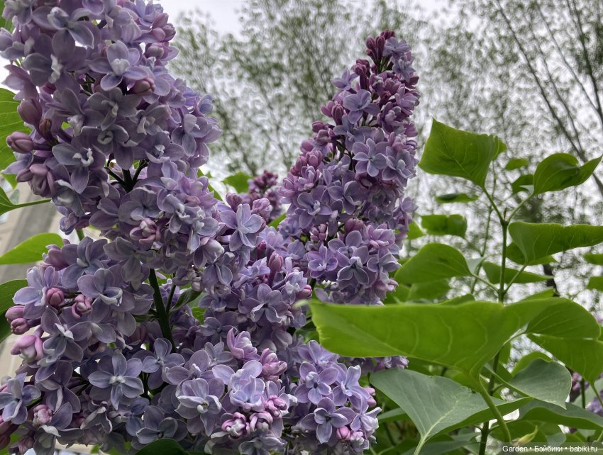 Комплекты с названиями — Одежда и обувь для кукол своими руками: фото (фото 7)