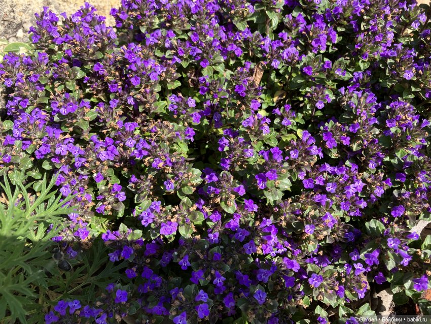 Комплекты с названиями — Одежда и обувь для кукол своими руками: фото