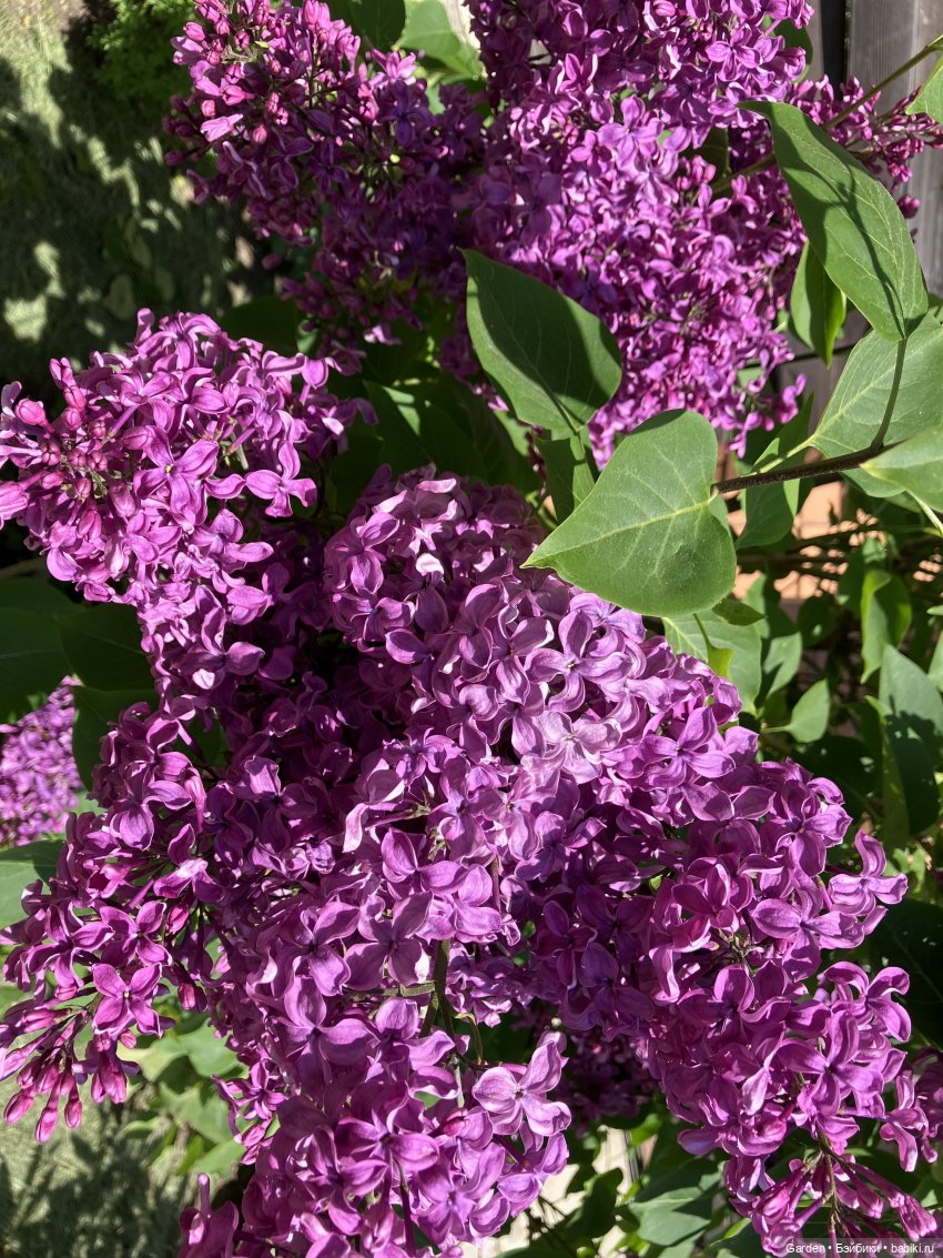 Комплекты с названиями — Одежда и обувь для кукол своими руками: фото