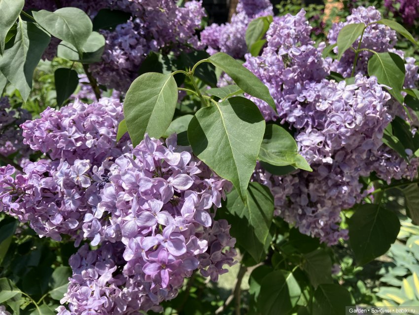 Комплекты с названиями — Одежда и обувь для кукол своими руками: фото (фото 8)