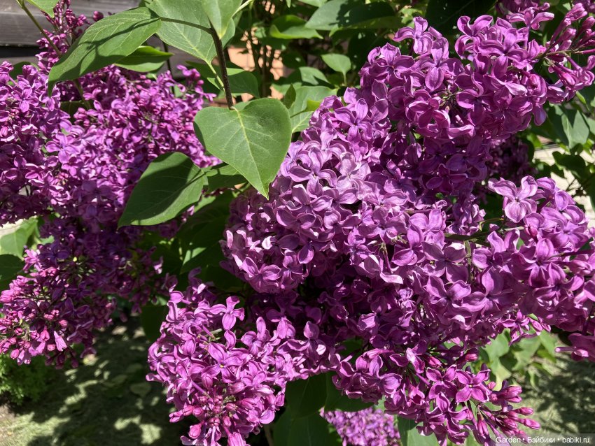 Комплекты с названиями — Одежда и обувь для кукол своими руками: фото (фото 9)