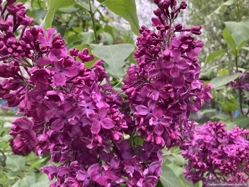 Комплекты с названиями — Одежда и обувь для кукол своими руками: фото (фото 5)