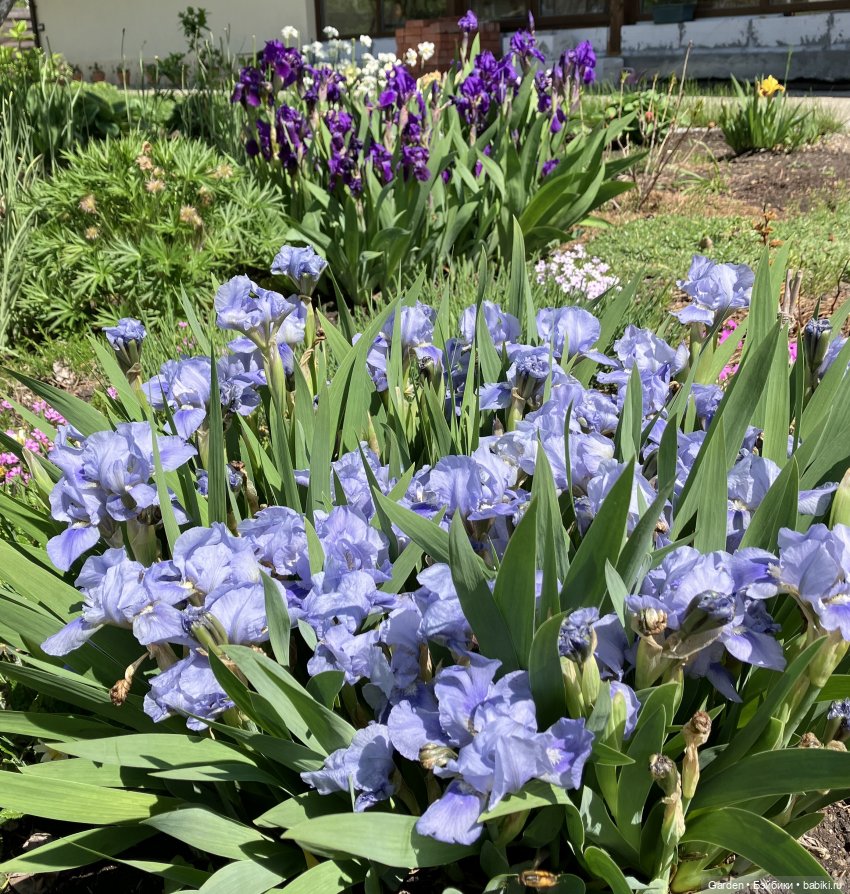Комплекты с названиями — Одежда и обувь для кукол своими руками: фото