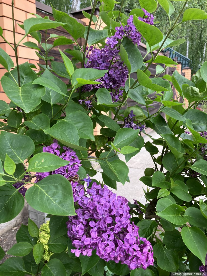 Комплекты с названиями — Одежда и обувь для кукол своими руками: фото (фото 3)