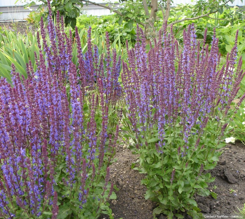 Комплекты с названиями — Одежда и обувь для кукол своими руками: фото