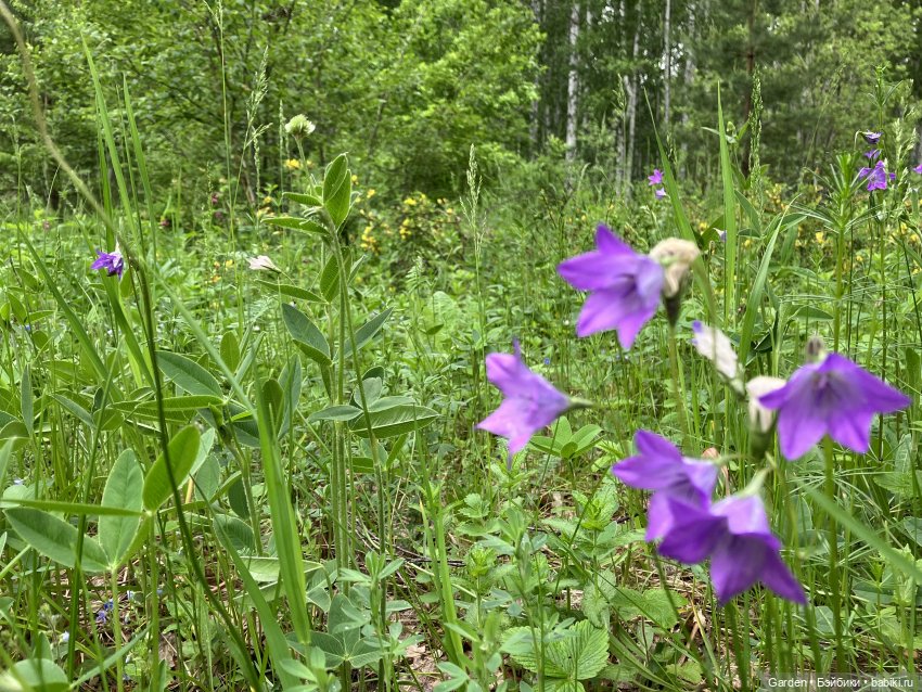 Комплекты с названиями — Одежда и обувь для кукол своими руками: фото