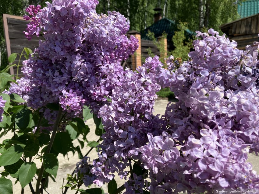 Комплекты с названиями — Одежда и обувь для кукол своими руками: фото (фото 10)