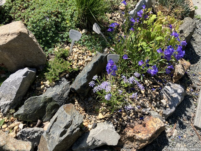 Комплекты с названиями — Одежда и обувь для кукол своими руками: фото