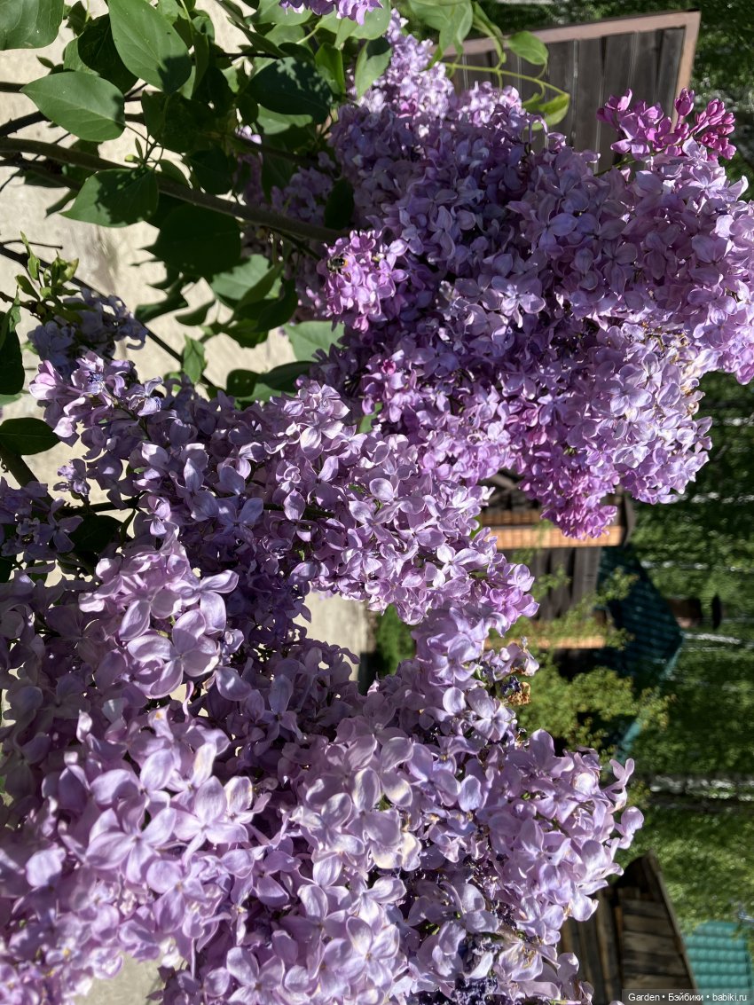 Комплекты с названиями — Одежда и обувь для кукол своими руками: фото (фото 2)