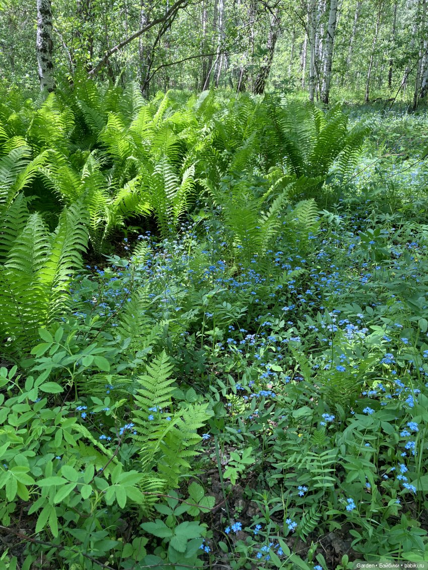 Комплекты с названиями — Одежда и обувь для кукол своими руками: фото