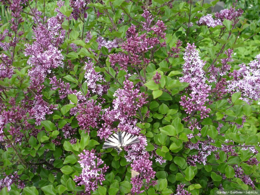 Комплекты с названиями — Одежда и обувь для кукол своими руками: фото (фото 4)