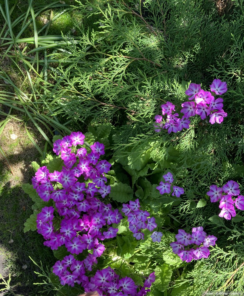 Комплекты с названиями — Одежда и обувь для кукол своими руками: фото