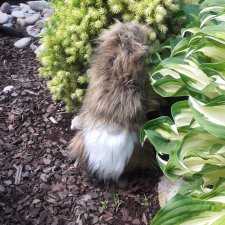 Боярин Кашкин сбежал из думы