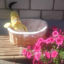 Летние денечки:)