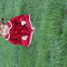 Новый гость