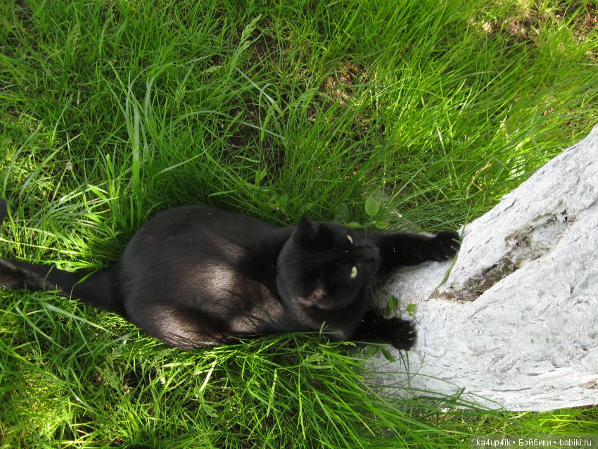 а это сейчас