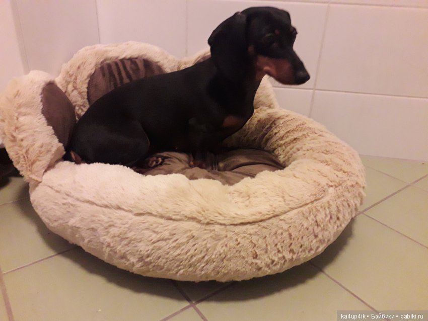 Мы к вам в гости:)