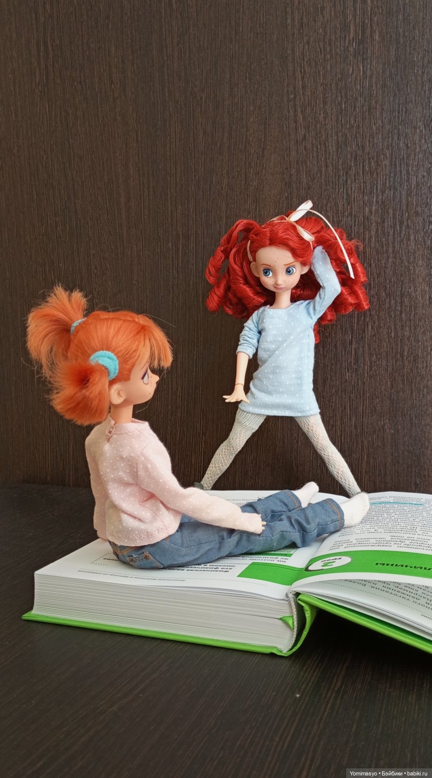 Калинка, Крендель и книги