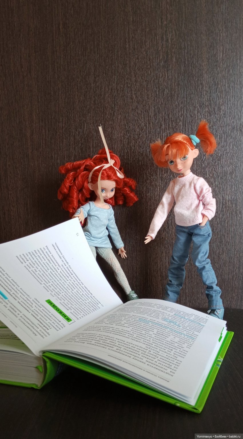 Калинка, Крендель и книги