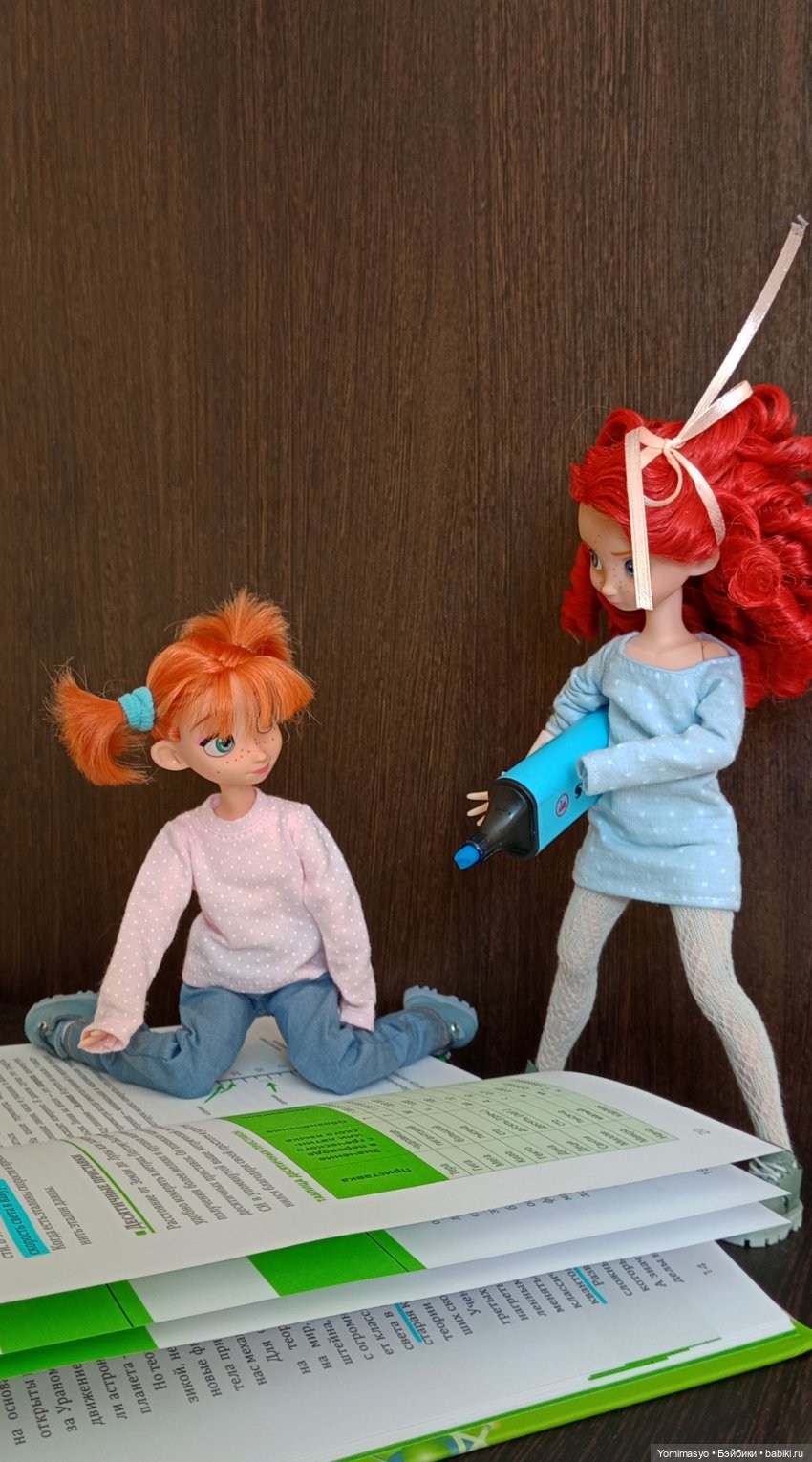 Калинка, Крендель и книги