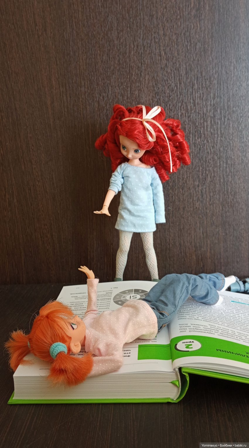 Калинка, Крендель и книги