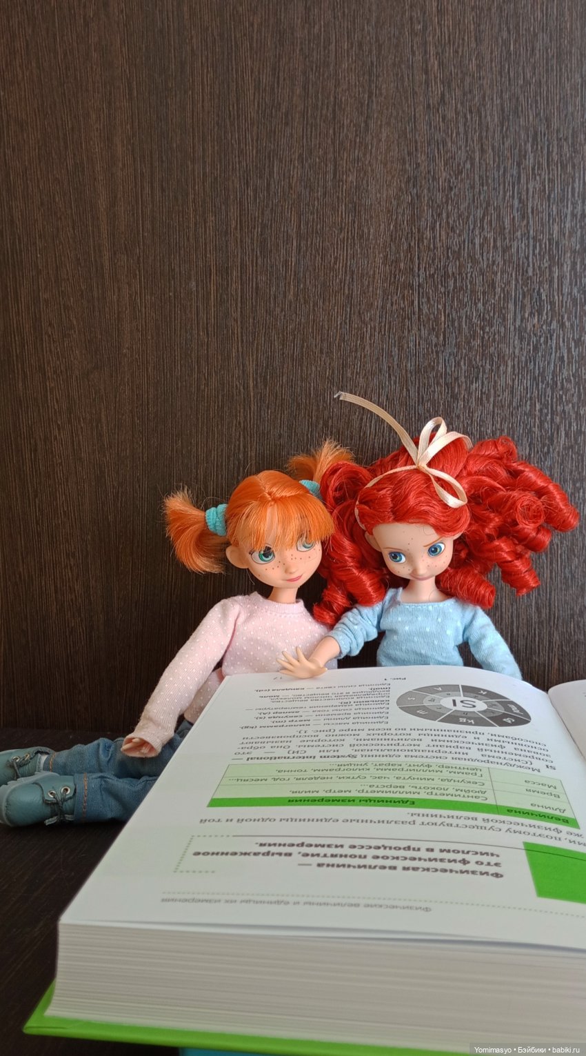 Калинка, Крендель и книги