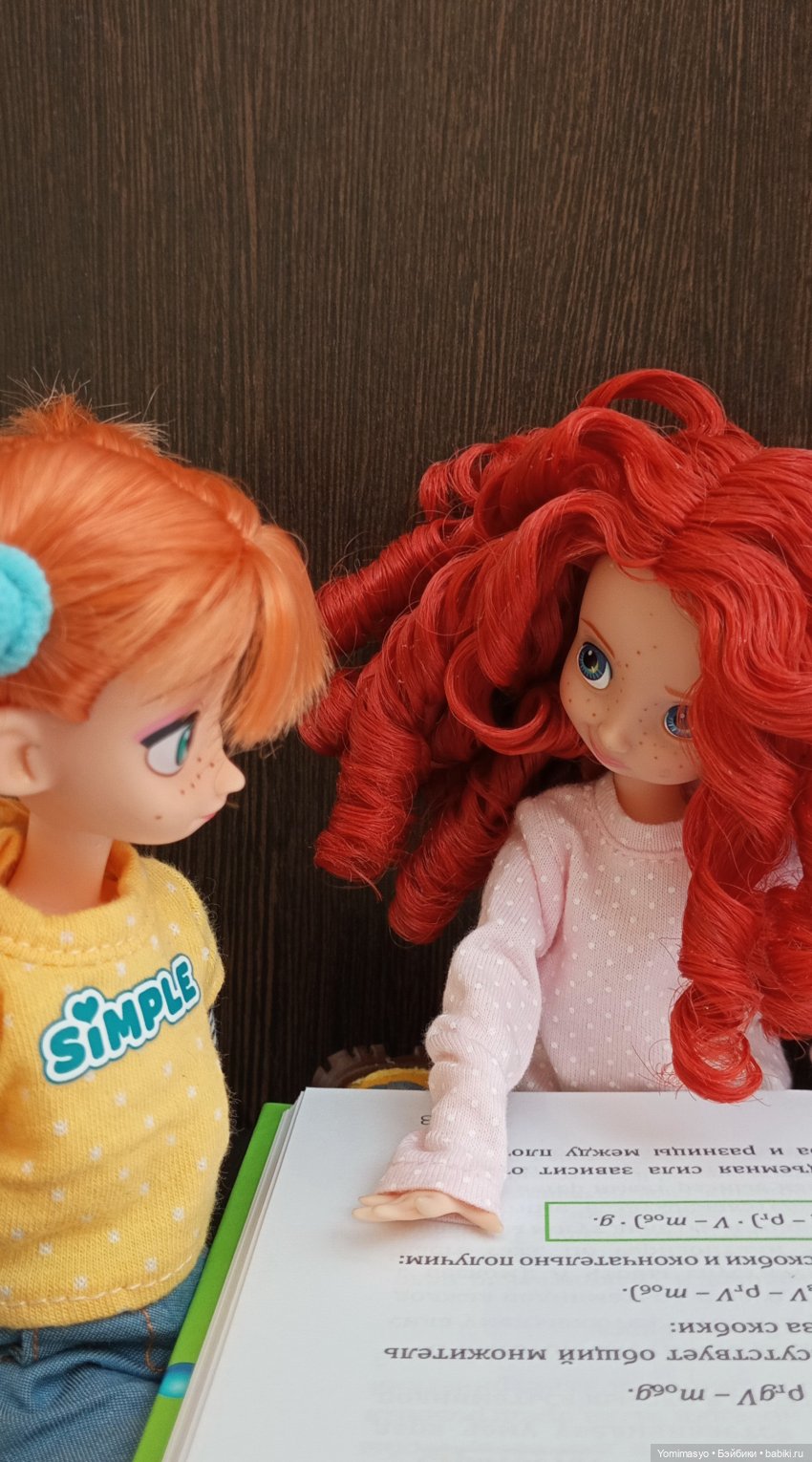 Калинка, Крендель и книги