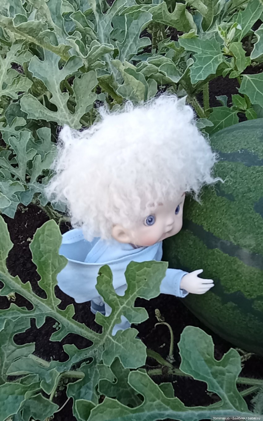 Кузёма, садово-огородный гномик (фото 9)